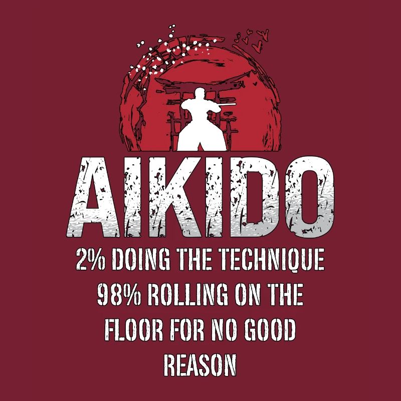 Aikido 2% Doing The Technique 98% Samurai Fighter