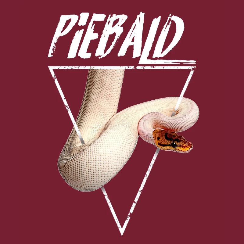 Piebald Ball Python Reptile Keeper