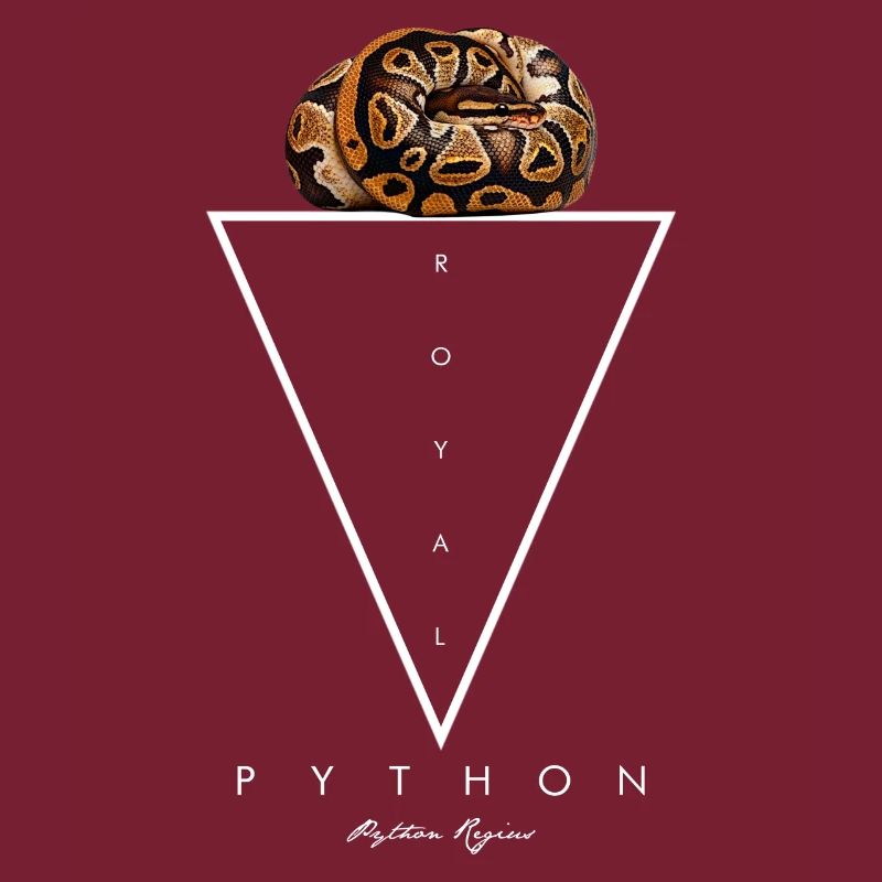 Royal Python géométrique moderne gardien de serpent