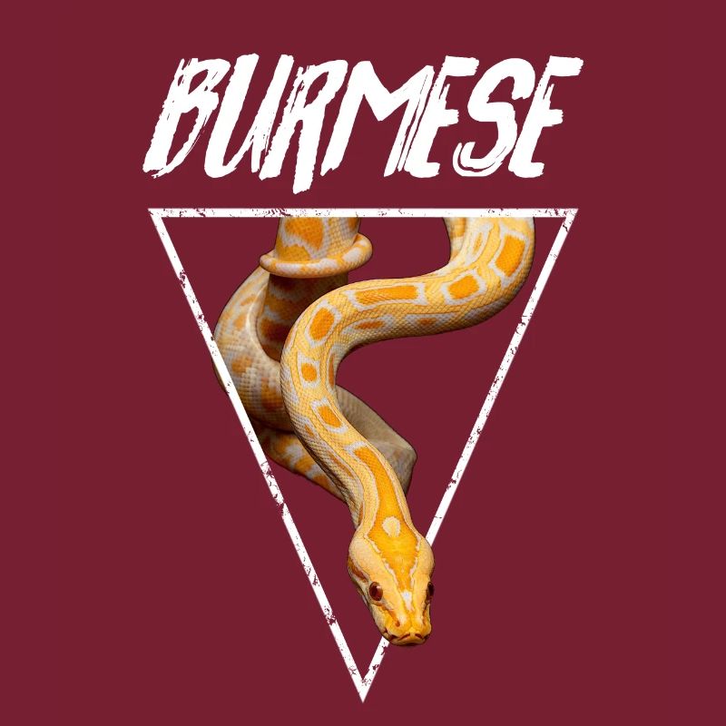 Propriétaire de serpent Python birman