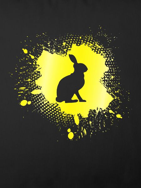 Hase