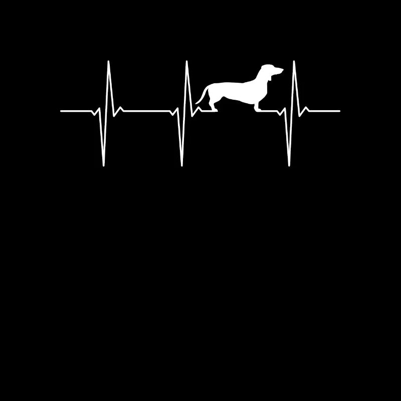 ECG teckel