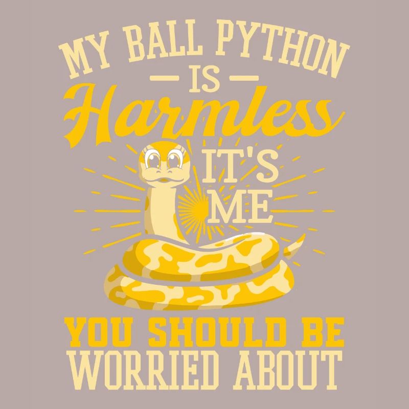 Königspython Schlange Python