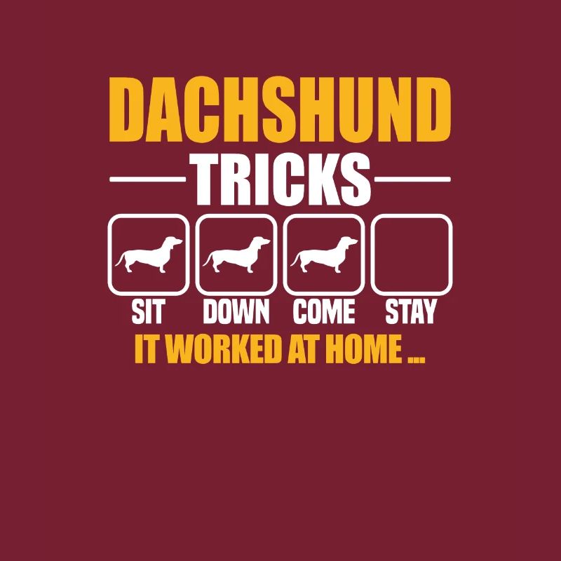 Dachshund Tricks
