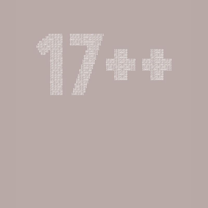 17++ Programmierer Developer Coder 18. Geburtstag