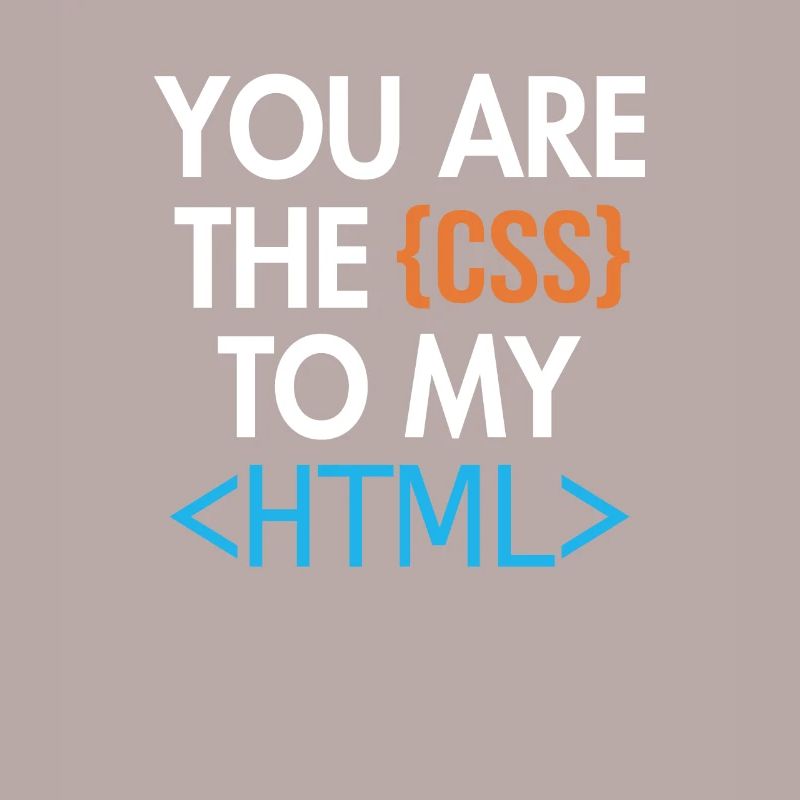 Vous êtes le CSS de mon HTML Developer Coder