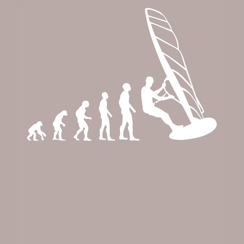 Evolution Windsurfer - Du singe à la planche