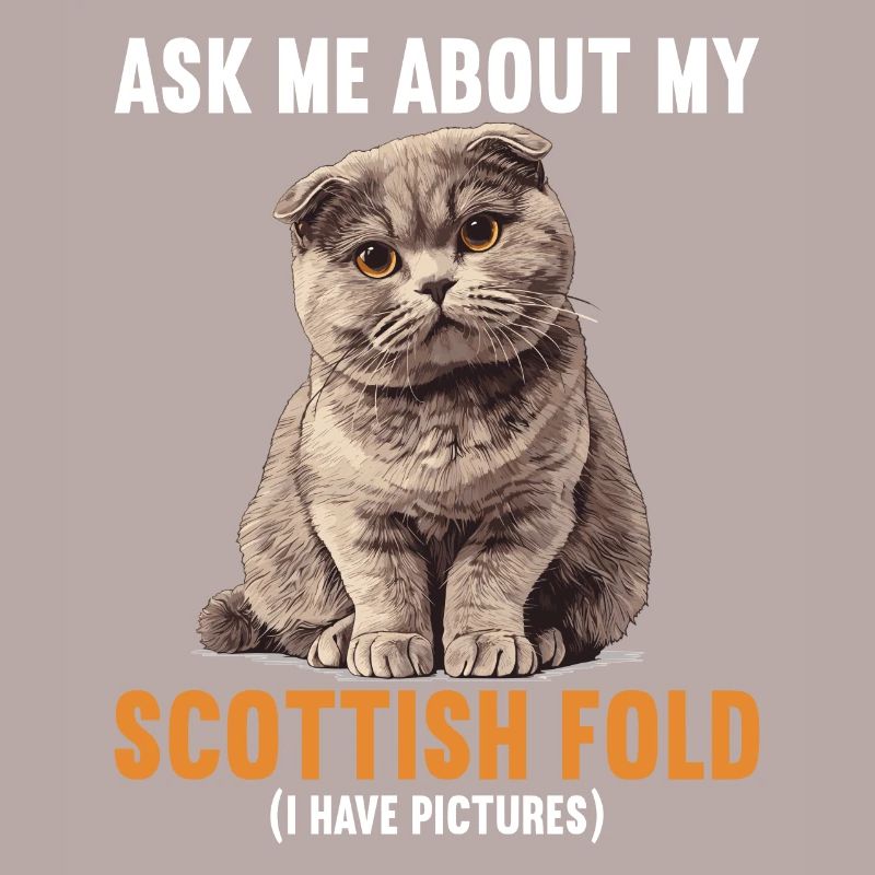 Scottish Fold Kätzchen Scottish Fold Katze