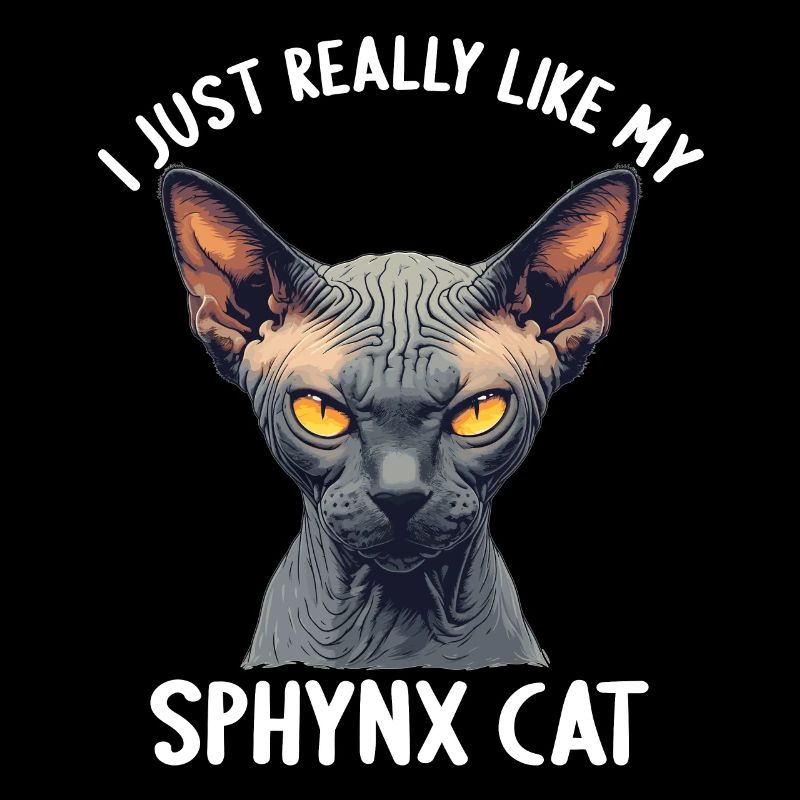Chaton Sphynx Chat Sphynx