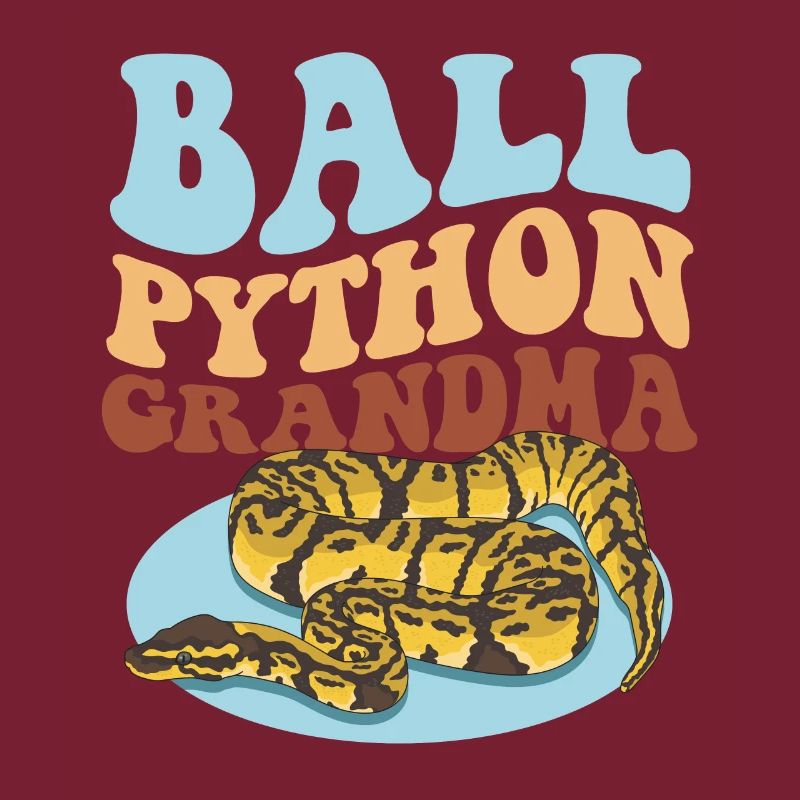 Königspython Oma Python Schlange Geschenk