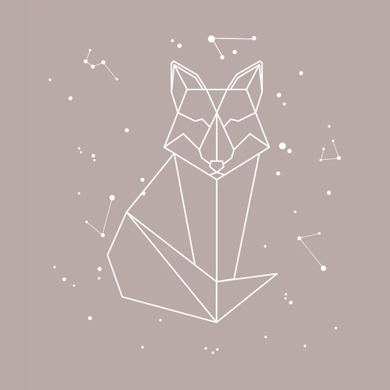 Sternbild Fox Constellation Red Fox Canidae