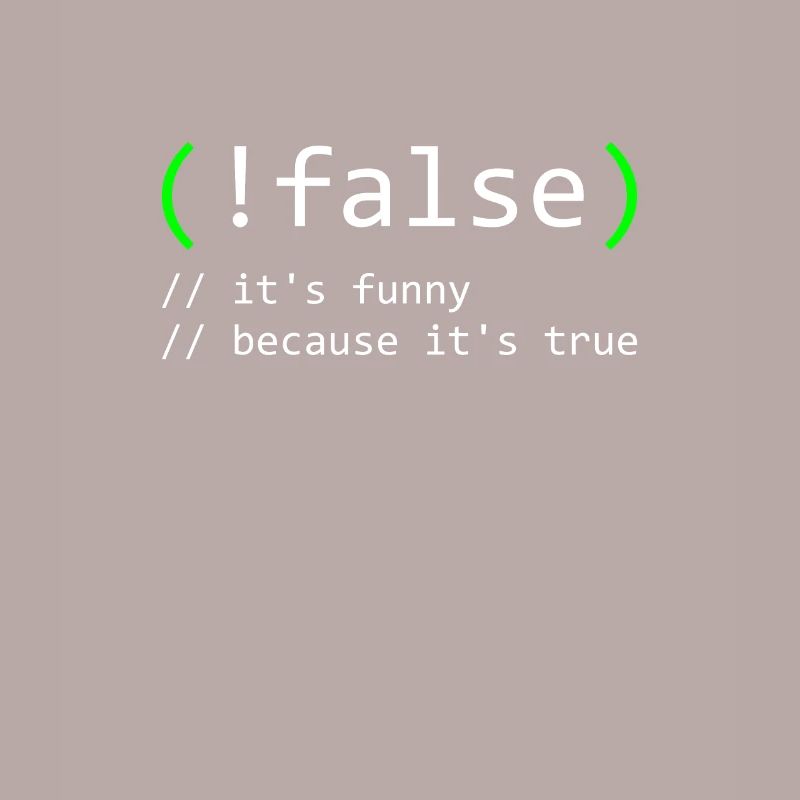 Programmierer Humor false true funny Nerd Geek