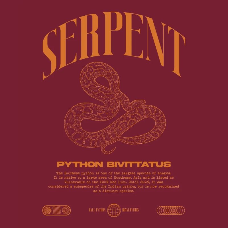 Burmese Python Modern Reptile Keeper Streetwear