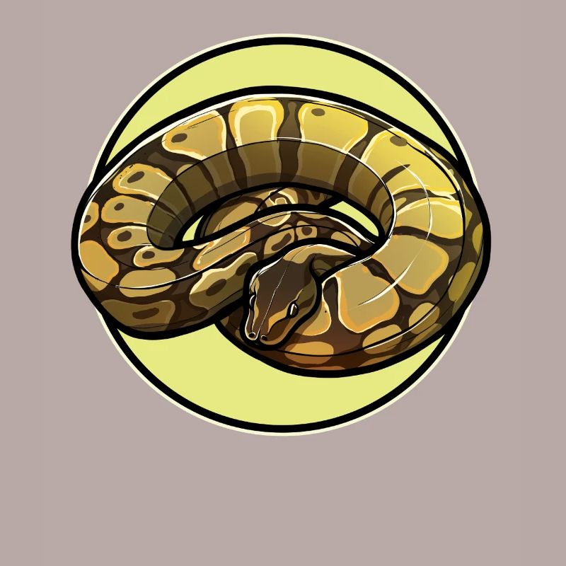 Ball Python Roi Python Roi Python