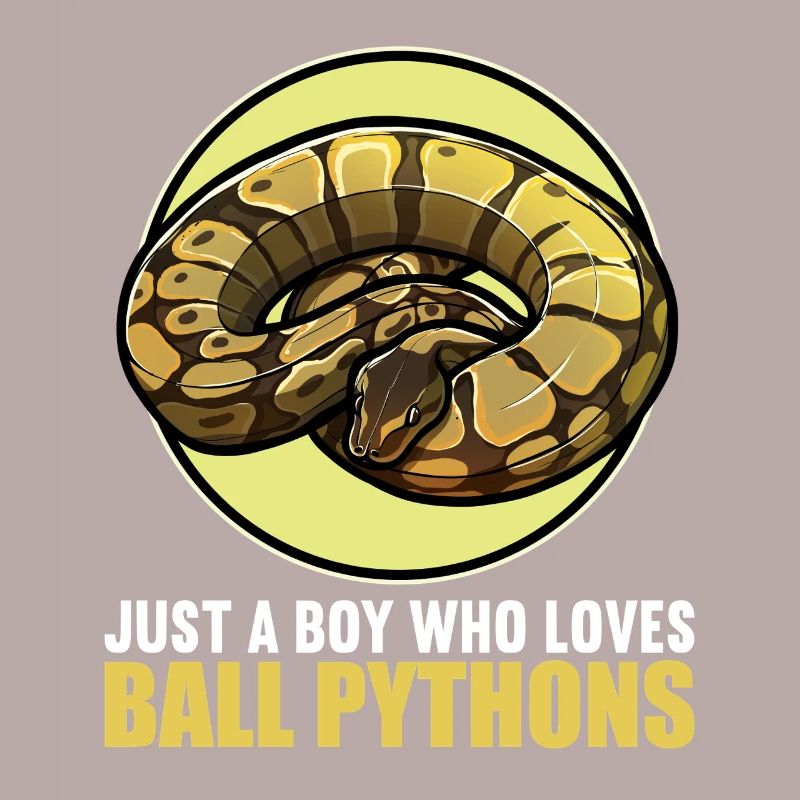 Ball Python Roi Python Roi Python