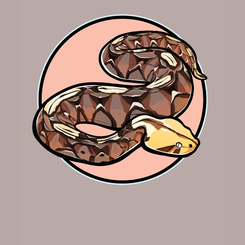 Gabon Vipers Gabon Vipers