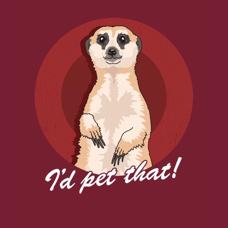 Suricate drôle suricate