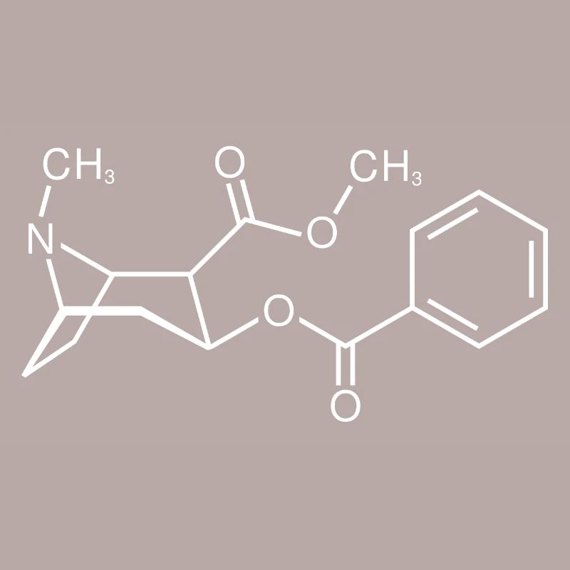 Cocaine molecule structural formula