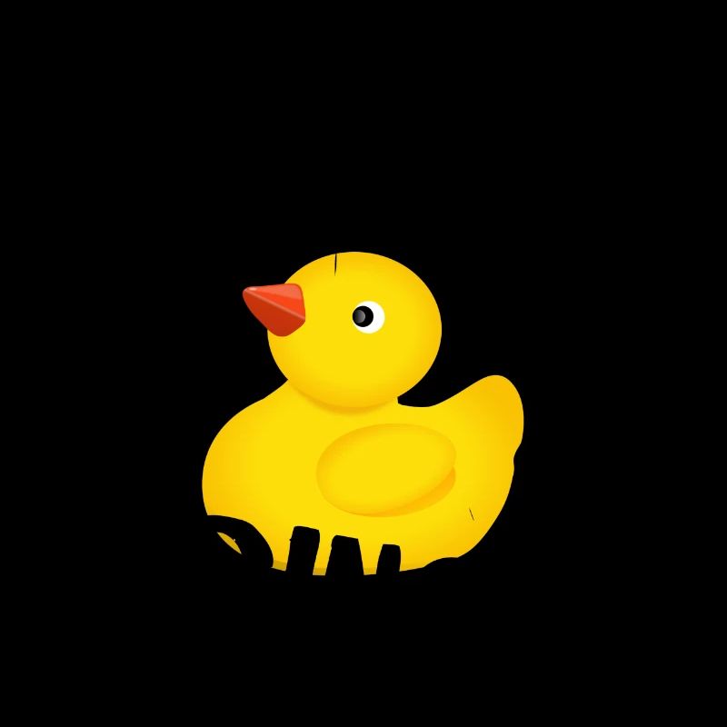 canard