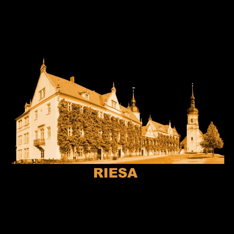 Riesa Town Hall Elbe Meissen Saxony