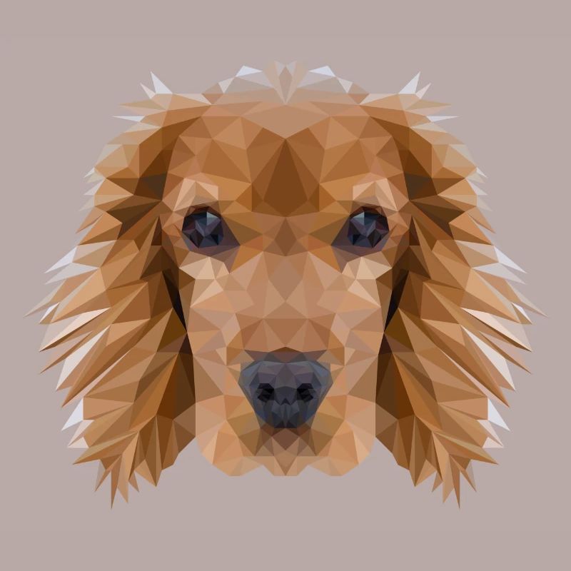Cocker Spaniel chien Polygon Design