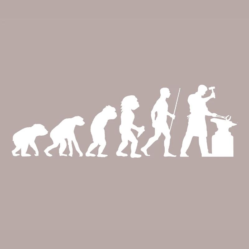 Evolution Schmied