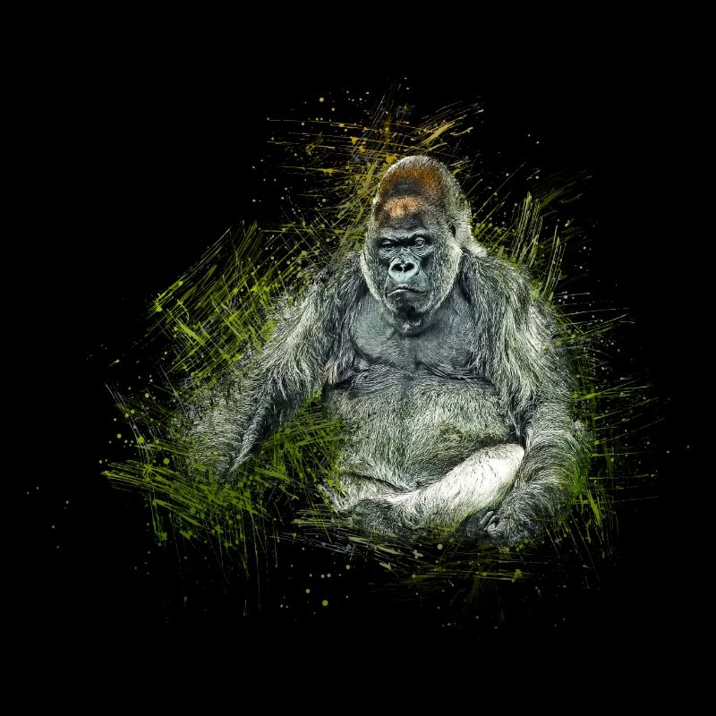 gorilla