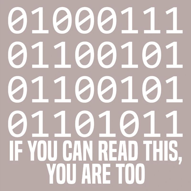 Programmeur Coder Développeur de logiciels