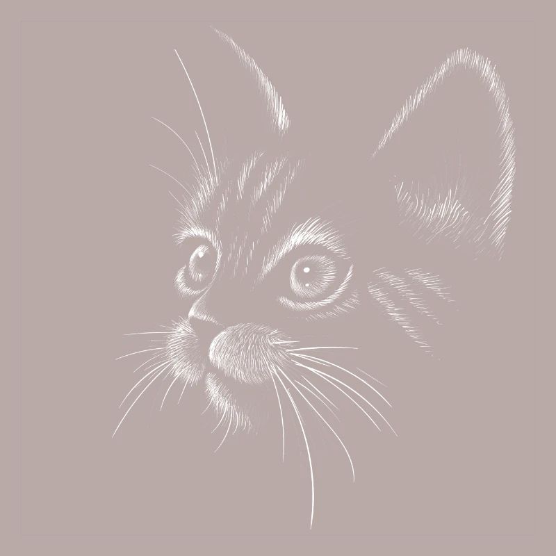 Chat visage de chat amant de chat chat dame