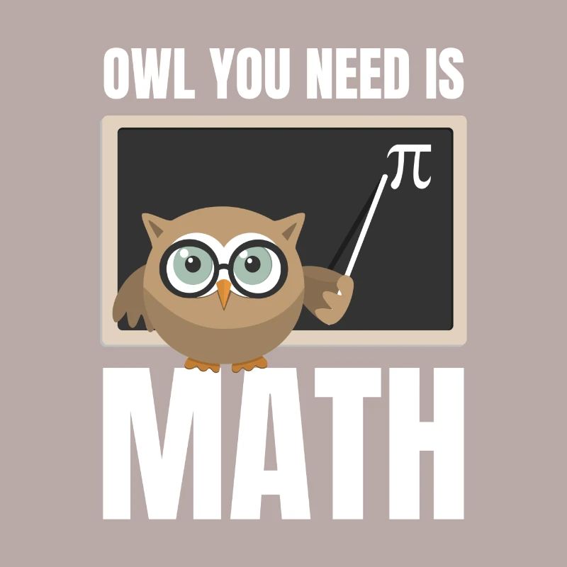 Math owl teacher teacher math teacher math