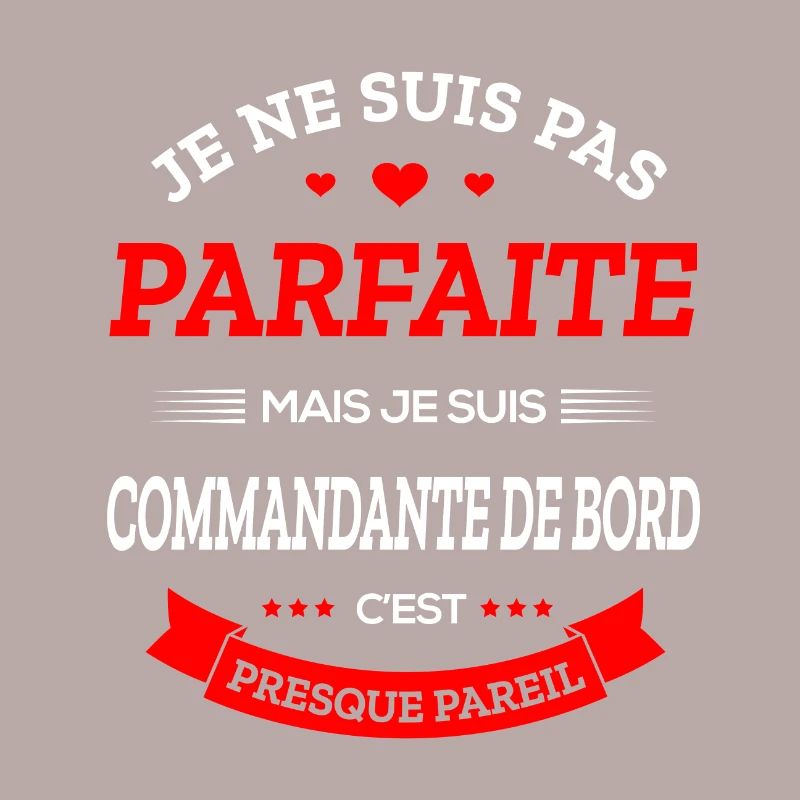 COMMANDANTE DE BORD PARFAITE