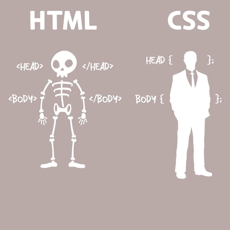 Code Css C++ Php Java Développeur Code Scripting