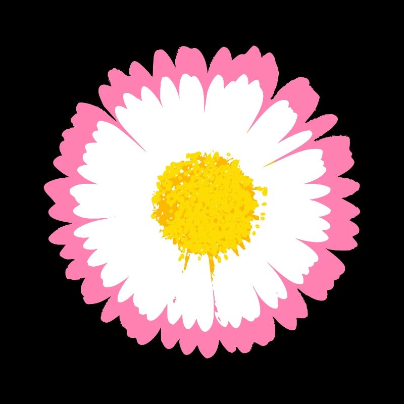 Rosa Gänseblümchen-Kante