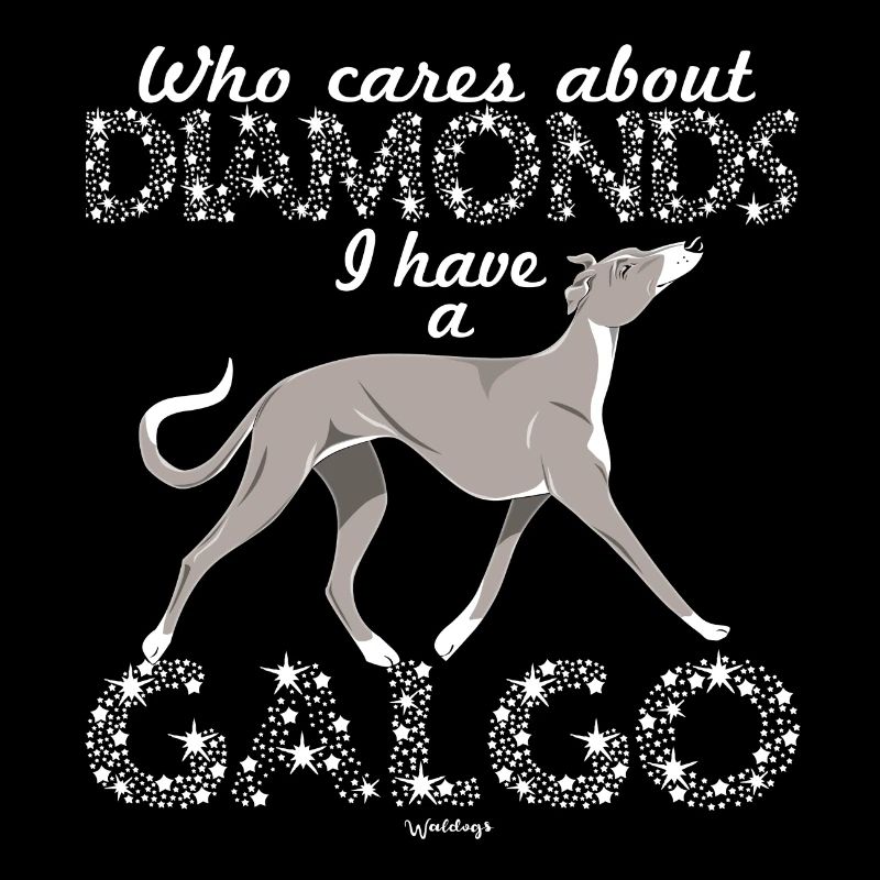 Galgo Diamonds 3