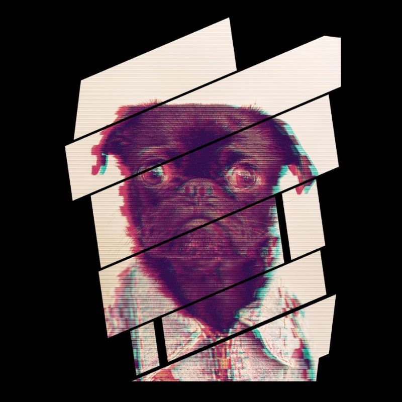 Glitch Pug