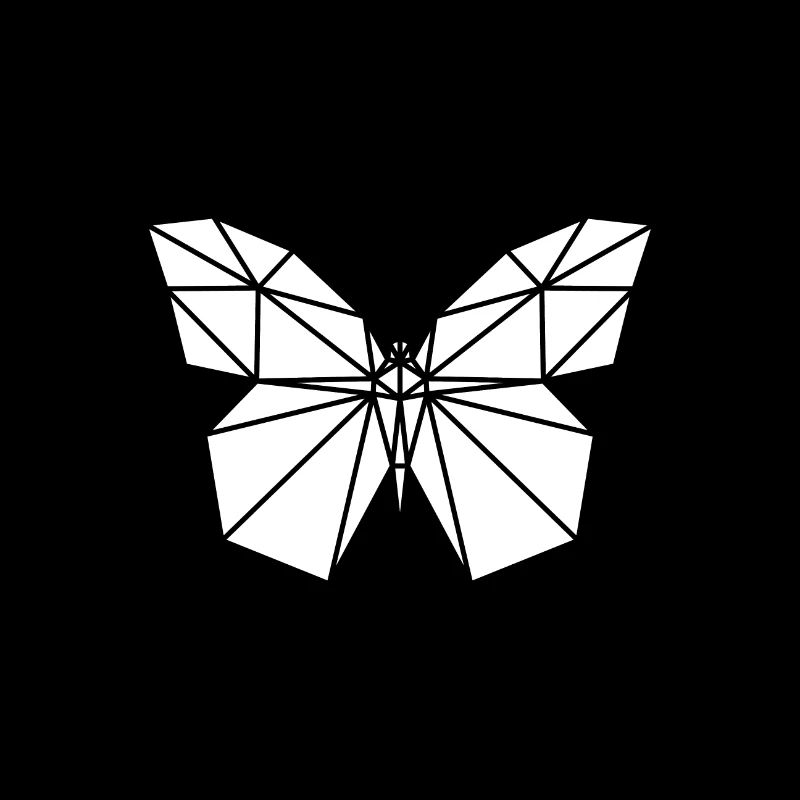 Polygon Butterfly