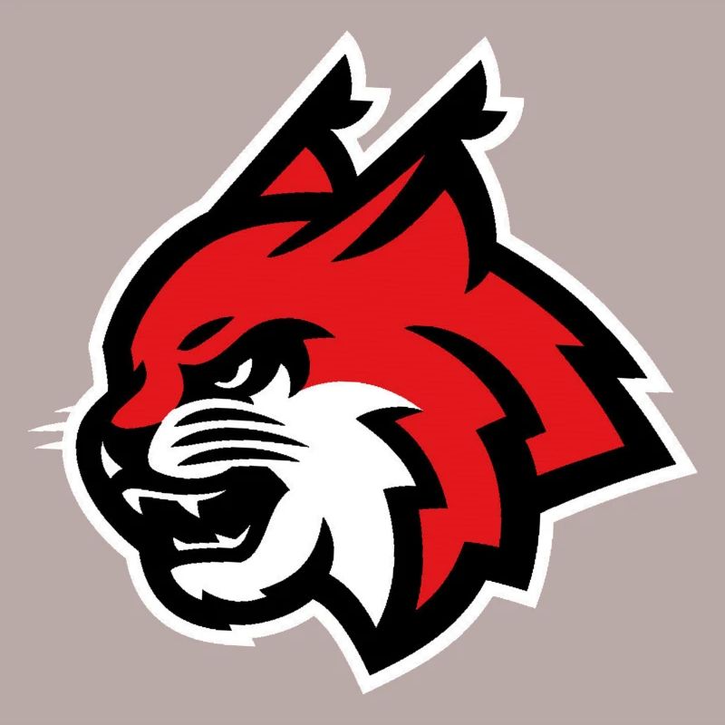 Luchs
