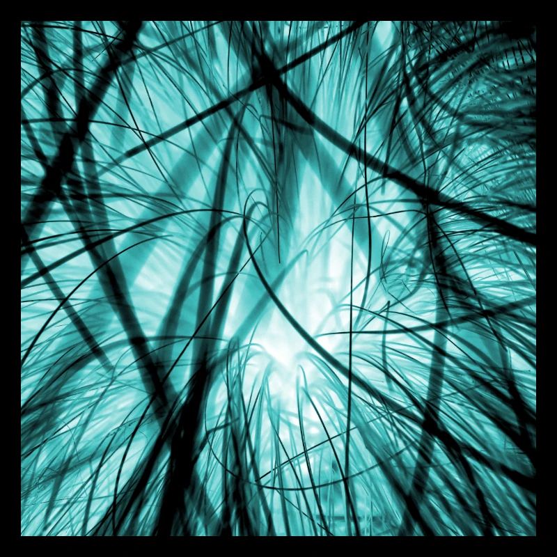 Encombrement de câble bleu