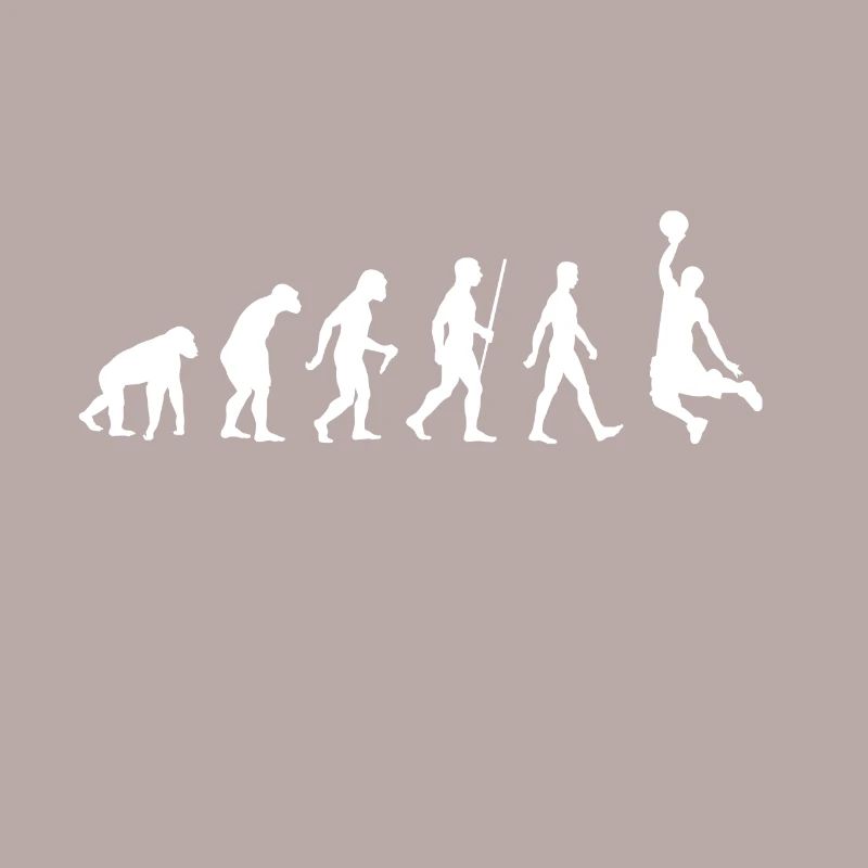 Evolution basketball