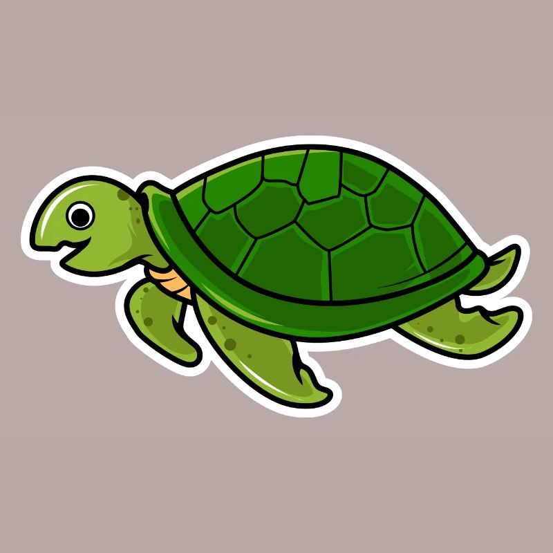 Schildkröte
