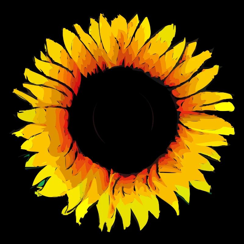 Sonnenblume