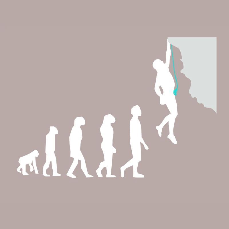 Escalation evolution