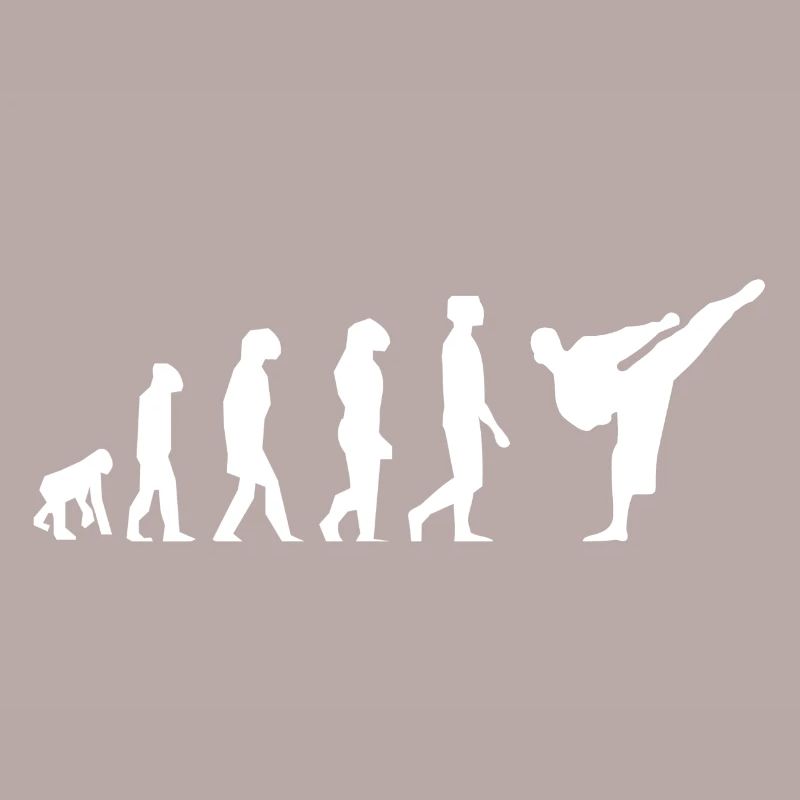 Karaté évolution
