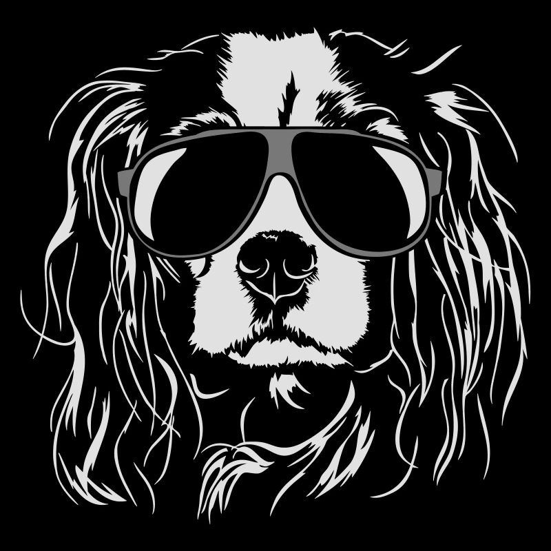 CAVALIER KING CHARLES SPANIEL cool