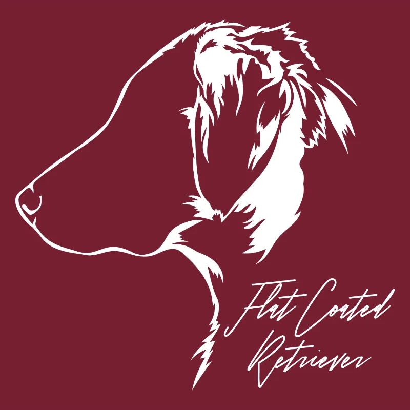 FLAT COATED RETRIEVER Profil Chiens Wilsigns