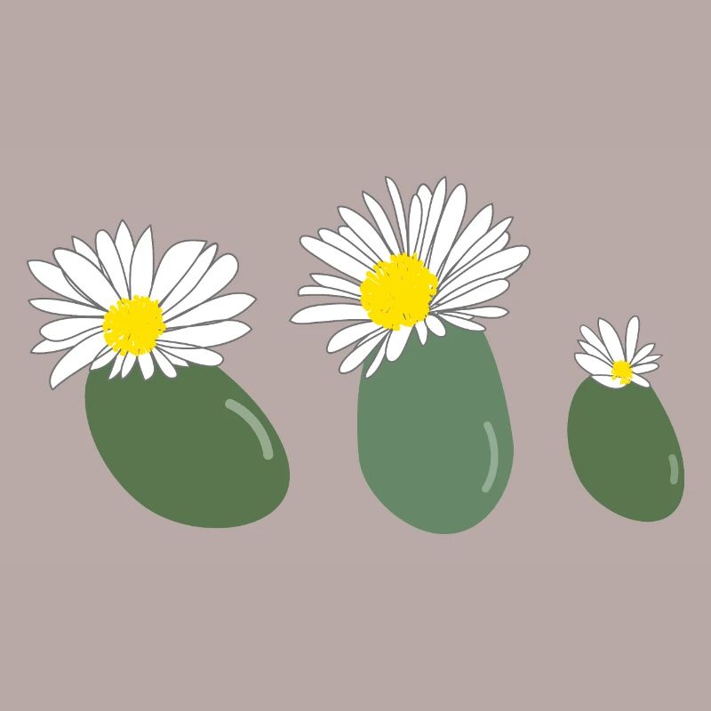 Fleur de lithops2