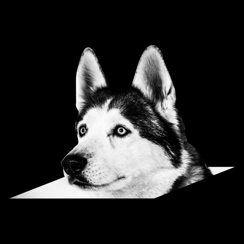 Husky