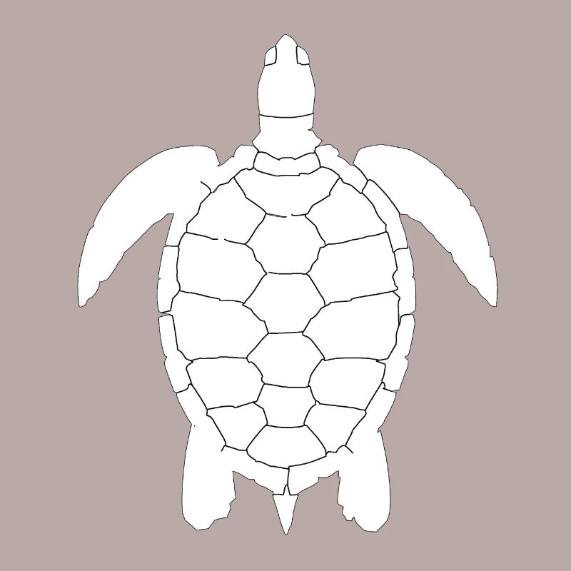 Tortoise turtle