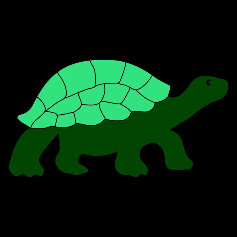 turtle