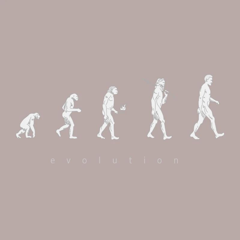Human evolution
